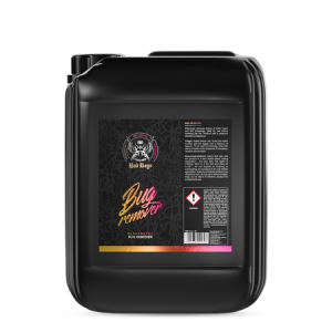 BAD-BOYS-Bug-Remover-5L