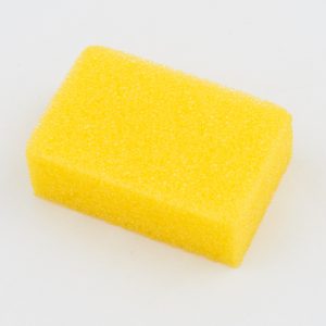 insect sponge